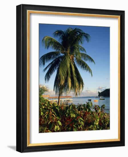 Jetty and Palm Tree, Villa Bay, Young Island, St. Vincent, Windward Islands, West Indies, Caribbean-Richardson Rolf-Framed Photographic Print