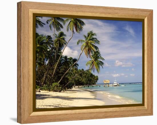 Jetty off Pigeon Point, Tobago, Caribbean-John Miller-Framed Premier Image Canvas