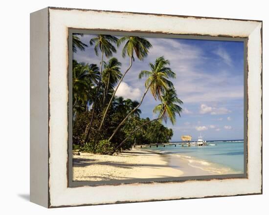 Jetty off Pigeon Point, Tobago, Caribbean-John Miller-Framed Premier Image Canvas