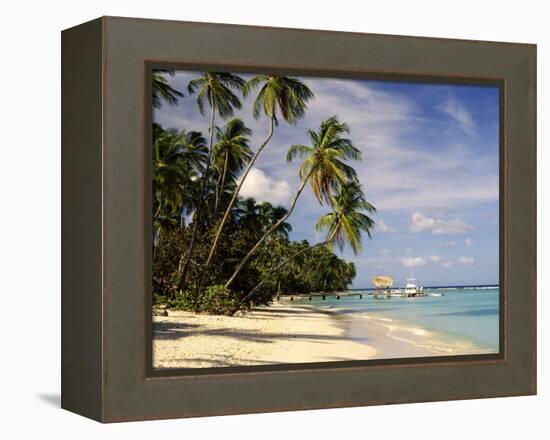 Jetty off Pigeon Point, Tobago, Caribbean-John Miller-Framed Premier Image Canvas