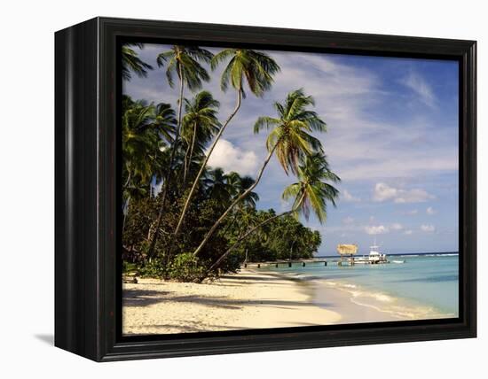 Jetty off Pigeon Point, Tobago, Caribbean-John Miller-Framed Premier Image Canvas