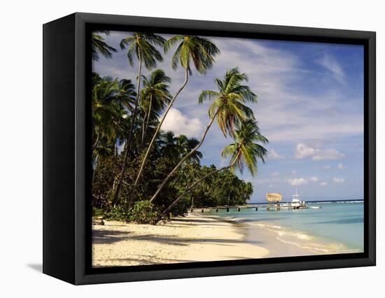 Jetty off Pigeon Point, Tobago, Caribbean-John Miller-Framed Premier Image Canvas