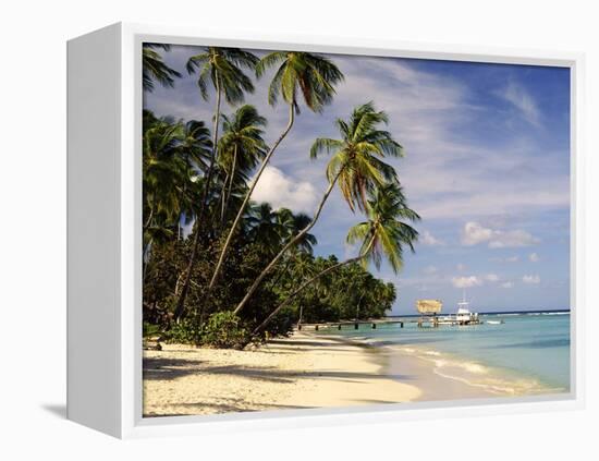 Jetty off Pigeon Point, Tobago, Caribbean-John Miller-Framed Premier Image Canvas