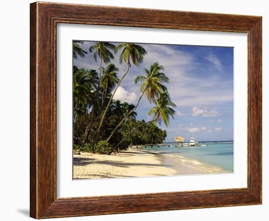 Jetty off Pigeon Point, Tobago, Caribbean-John Miller-Framed Photographic Print