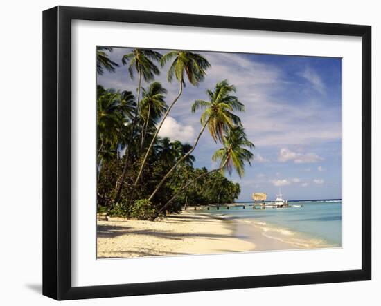Jetty off Pigeon Point, Tobago, Caribbean-John Miller-Framed Photographic Print