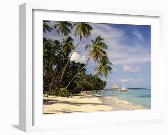 Jetty off Pigeon Point, Tobago, Caribbean-John Miller-Framed Photographic Print