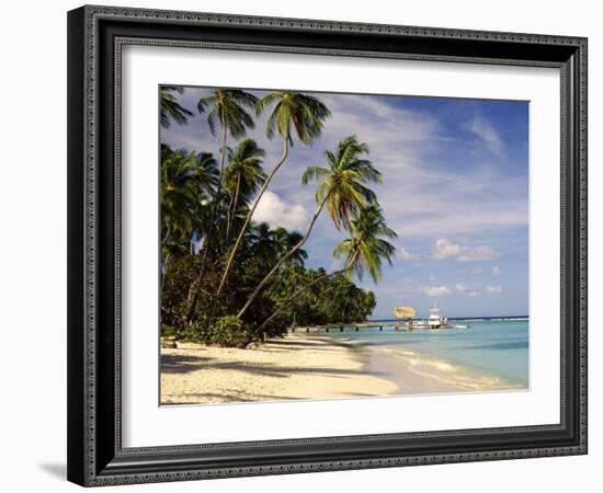 Jetty off Pigeon Point, Tobago, Caribbean-John Miller-Framed Photographic Print