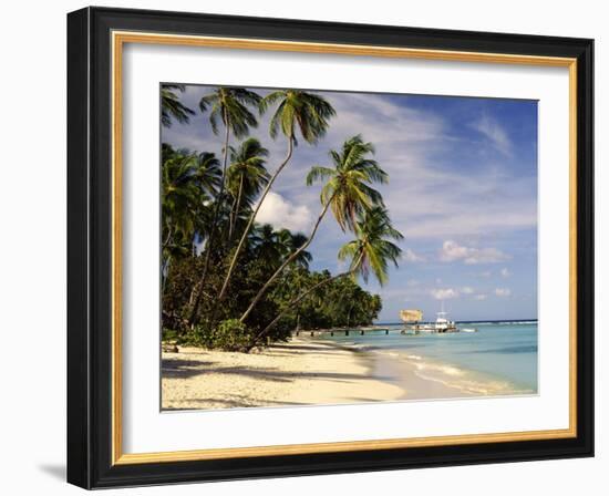 Jetty off Pigeon Point, Tobago, Caribbean-John Miller-Framed Photographic Print