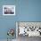 Jetty on Derwentwater, Cumbria, UK-Nadia Isakova-Framed Photographic Print displayed on a wall