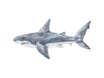 Great White Painting-Jetty Printables-Art Print