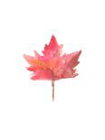 Watercolor 1 Leaf-Jetty Printables-Mounted Art Print