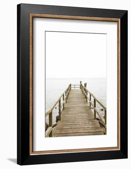 Jetty, the Baltic Sea, Wooden Jetty, Bathing Jetty-Nora Frei-Framed Photographic Print