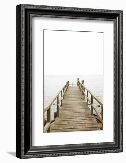 Jetty, the Baltic Sea, Wooden Jetty, Bathing Jetty-Nora Frei-Framed Photographic Print