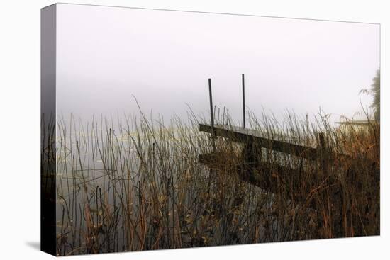 Jetty Wild-Andreas Stridsberg-Framed Stretched Canvas