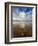 Jetxs-David Baker-Framed Photographic Print