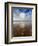 Jetxs-David Baker-Framed Photographic Print