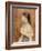 Jeune fille au ruban bleu-Pierre-Auguste Renoir-Framed Giclee Print