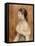Jeune fille au ruban bleu-Pierre-Auguste Renoir-Framed Premier Image Canvas