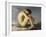 Jeune homme nu assis au bord de la mer - Etude-Hippolyte Flandrin-Framed Giclee Print