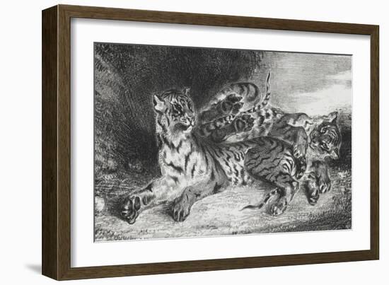 Jeune tigre jouant avec sa mère, lithographie 1er état-Eugene Delacroix-Framed Giclee Print
