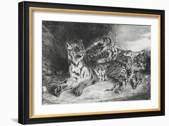 Jeune tigre jouant avec sa mère, lithographie 1er état-Eugene Delacroix-Framed Giclee Print