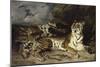 Jeune tigre jouant avec sa mère-Eugene Delacroix-Mounted Giclee Print