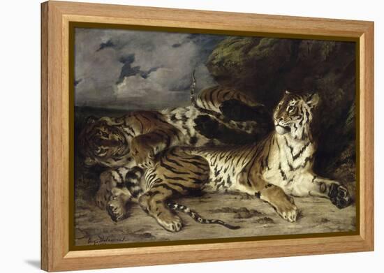 Jeune tigre jouant avec sa mère-Eugene Delacroix-Framed Premier Image Canvas