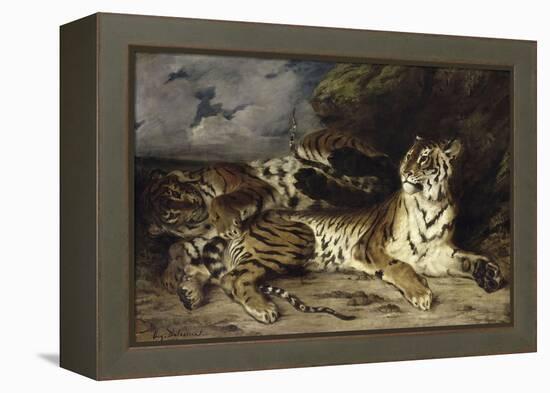 Jeune tigre jouant avec sa mère-Eugene Delacroix-Framed Premier Image Canvas