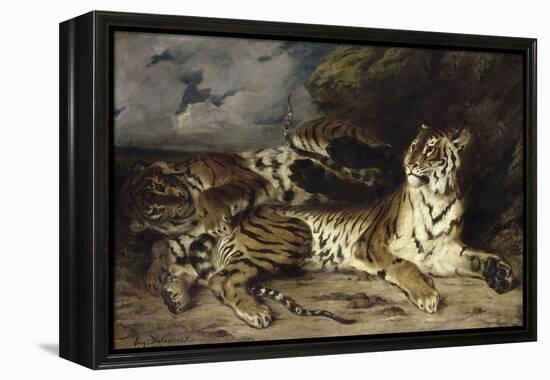 Jeune tigre jouant avec sa mère-Eugene Delacroix-Framed Premier Image Canvas