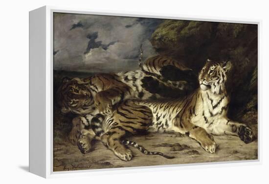 Jeune tigre jouant avec sa mère-Eugene Delacroix-Framed Premier Image Canvas