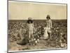 Jewel and Harold Walker-Lewis Wickes Hine-Mounted Giclee Print