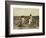 Jewel and Harold Walker-Lewis Wickes Hine-Framed Giclee Print