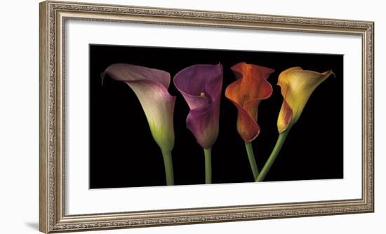 Jewel Calla Lilies-Assaf Frank-Framed Giclee Print