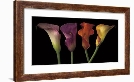 Jewel Calla Lilies-Assaf Frank-Framed Giclee Print