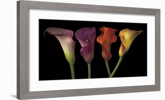 Jewel Calla Lilies-Assaf Frank-Framed Giclee Print