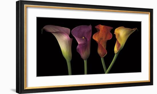 Jewel Calla Lilies-Assaf Frank-Framed Giclee Print