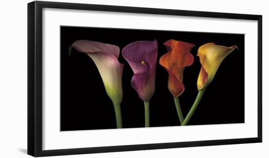 Jewel Calla Lilies-Assaf Frank-Framed Giclee Print