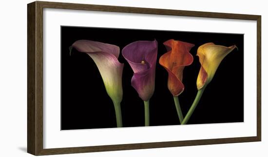 Jewel Calla Lilies-Assaf Frank-Framed Giclee Print