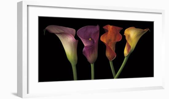 Jewel Calla Lilies-Assaf Frank-Framed Giclee Print