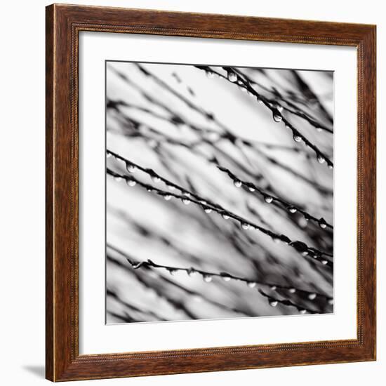 Jewel Drops-David Gray-Framed Art Print