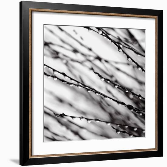 Jewel Drops-David Gray-Framed Art Print