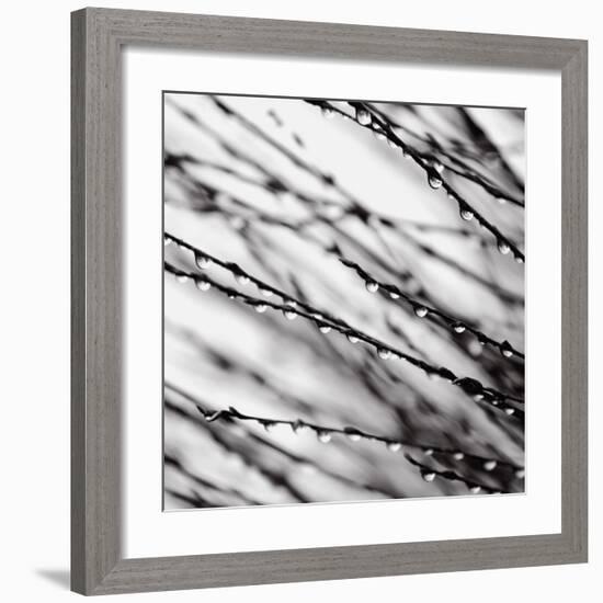 Jewel Drops-David Gray-Framed Art Print