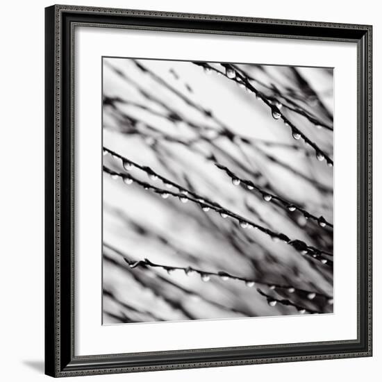 Jewel Drops-David Gray-Framed Art Print