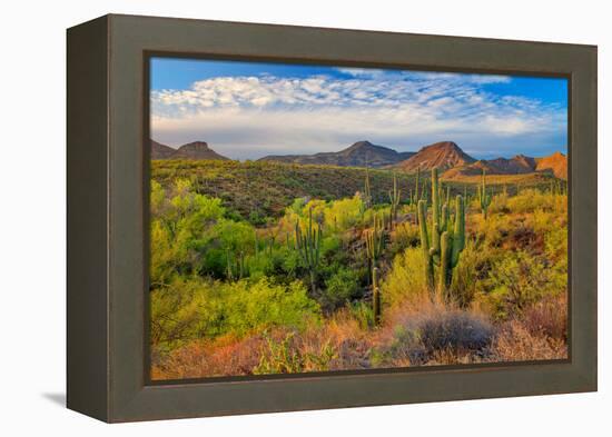 Jewel Evening-John Gavrilis-Framed Premier Image Canvas