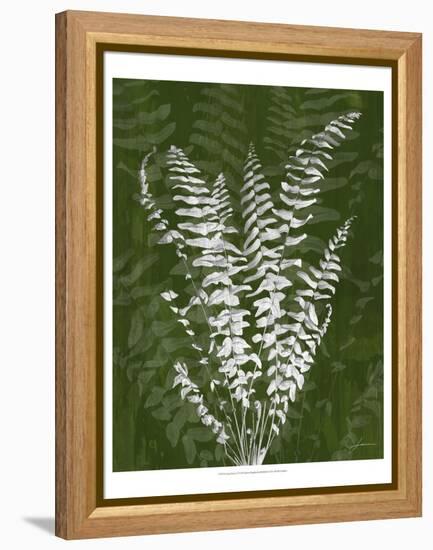 Jewel Ferns I-James Burghardt-Framed Stretched Canvas
