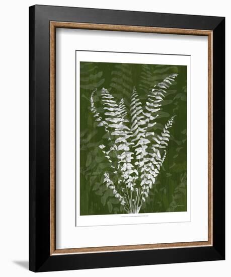 Jewel Ferns I-James Burghardt-Framed Art Print