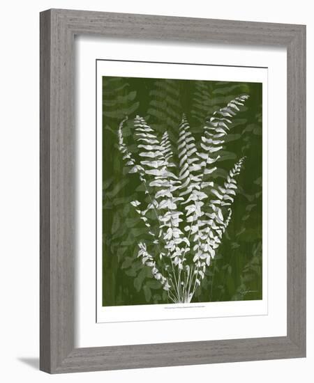 Jewel Ferns I-James Burghardt-Framed Art Print