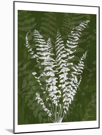 Jewel Ferns I-James Burghardt-Mounted Art Print