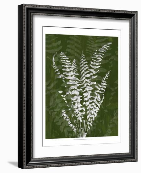 Jewel Ferns I-James Burghardt-Framed Art Print