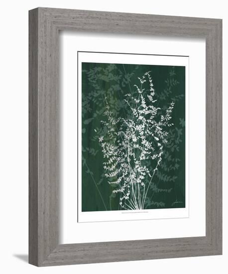 Jewel Ferns II-James Burghardt-Framed Art Print